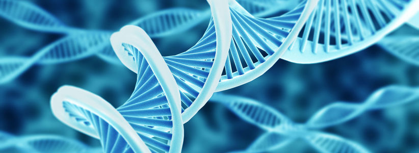 Bursaries available for attendance at European Human Genetics Conference